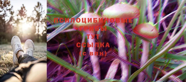 MESCALINE Арсеньев