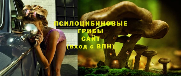 шишки Алексеевка